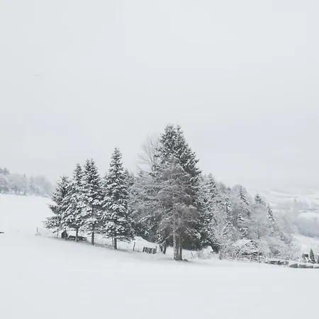 Welcome In - 'zum Hohlen Rain' Mit Terrasse Und Grill Apartamento *
